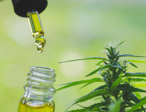 The Medicinal Uses For CBD