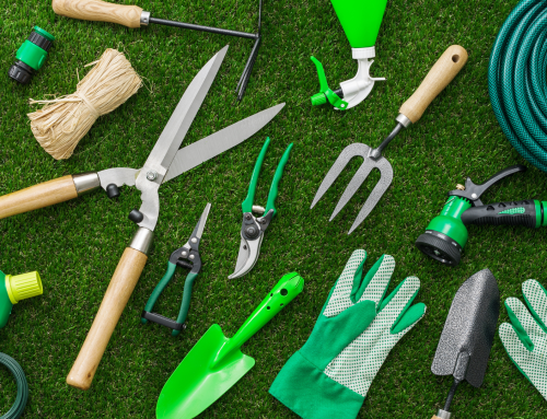 The Essential Gardening Tools Every Gardener Needs